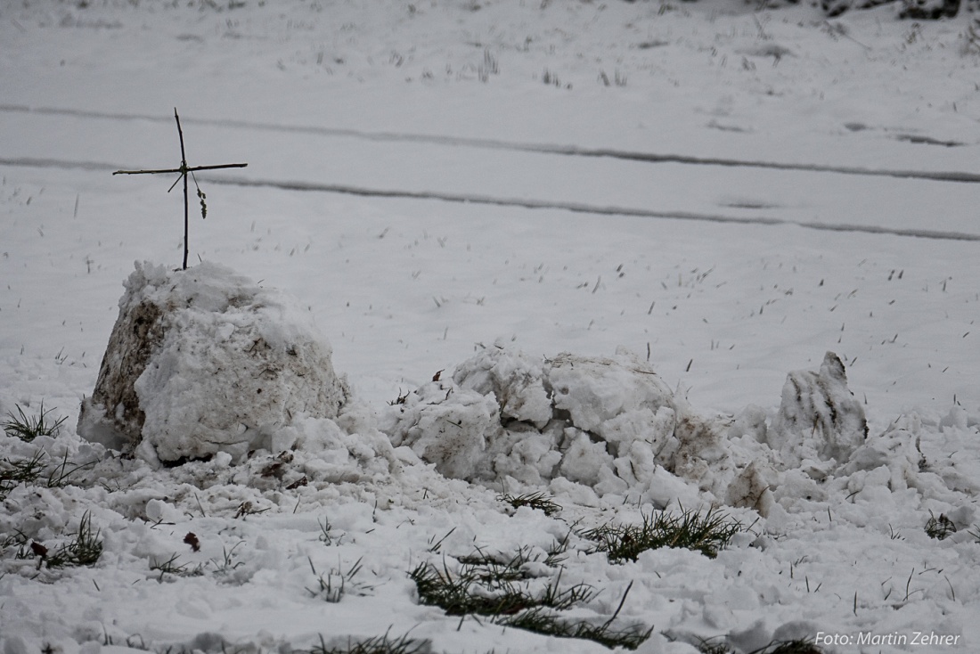 Foto: Martin Zehrer - Gestorben, wenige Minuten nach dem Erbauen, starb dieser Schnee-Bär an Zusammenbruch. Guck die vorhergehenden Bilder an, dort steht er noch...<br />
<br />
R.I.P. lieber Schnee-Bär 