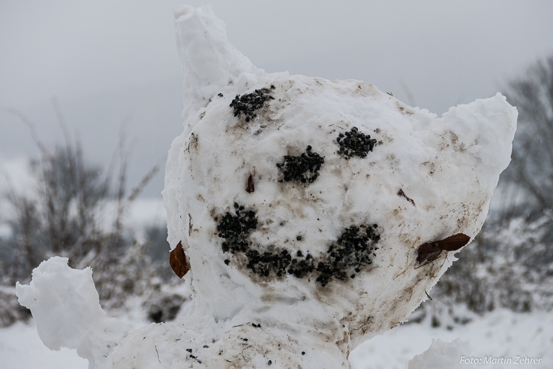 Foto: Martin Zehrer - Der Schnee-Bär auf dem Armesberg... was für ein liebes Gesicht :-) 